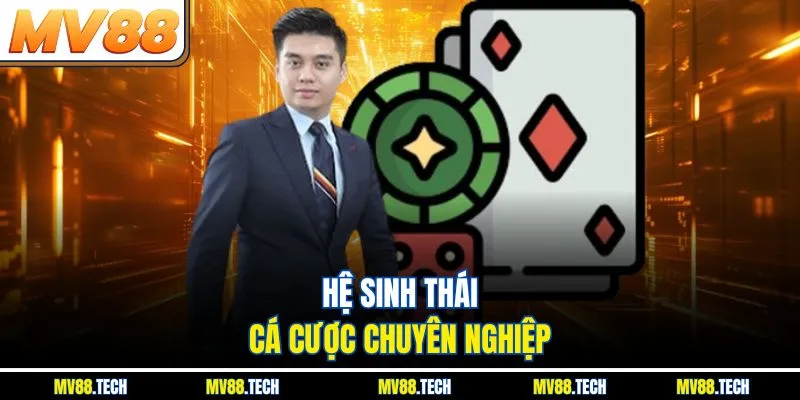 Hệ sinh thái cá cược chuyên nghiệp